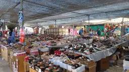 Zoco Market Ciudad Quesada