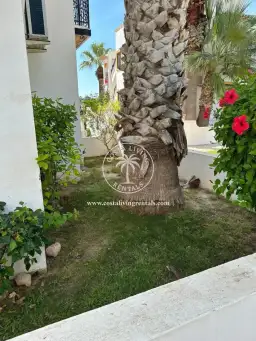 Cozy Renovated Bungalow with Solarium in Villamartín - photo 3